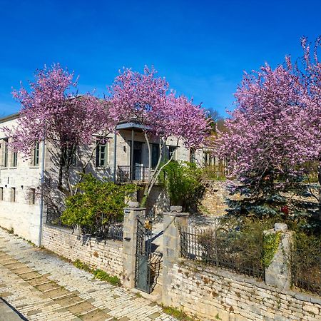Katikia Zagori Hotel Vitsa Bagian luar foto