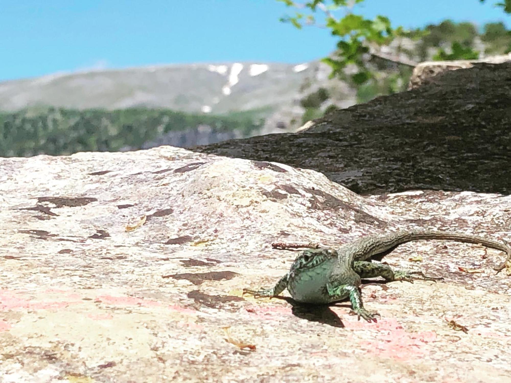 Katikia Zagori Hotel Vitsa Bagian luar foto