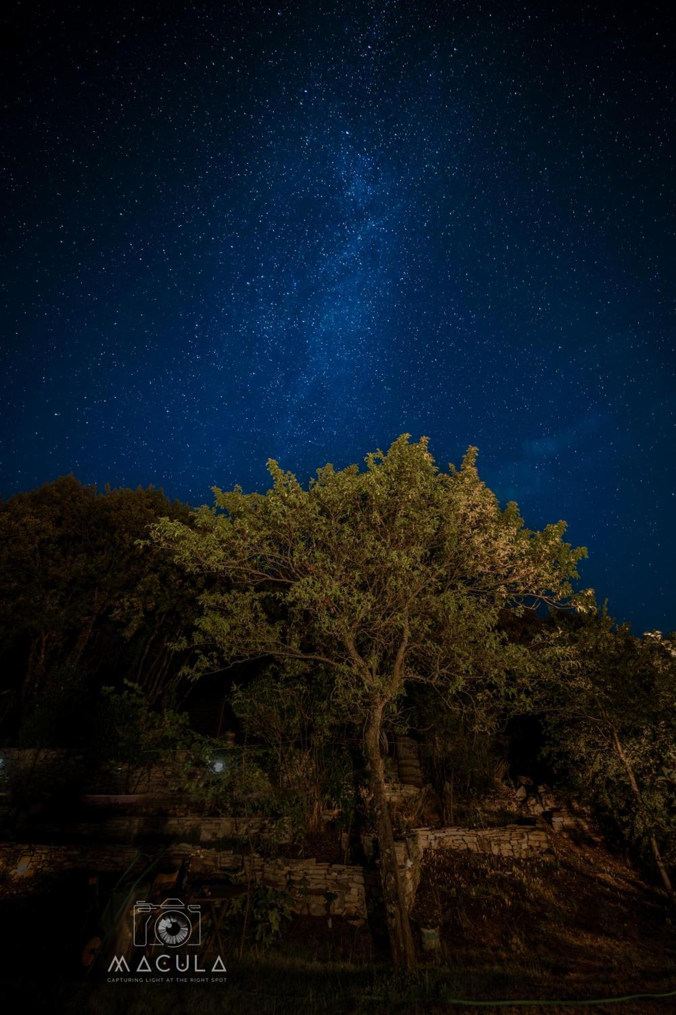 Katikia Zagori Hotel Vitsa Bagian luar foto