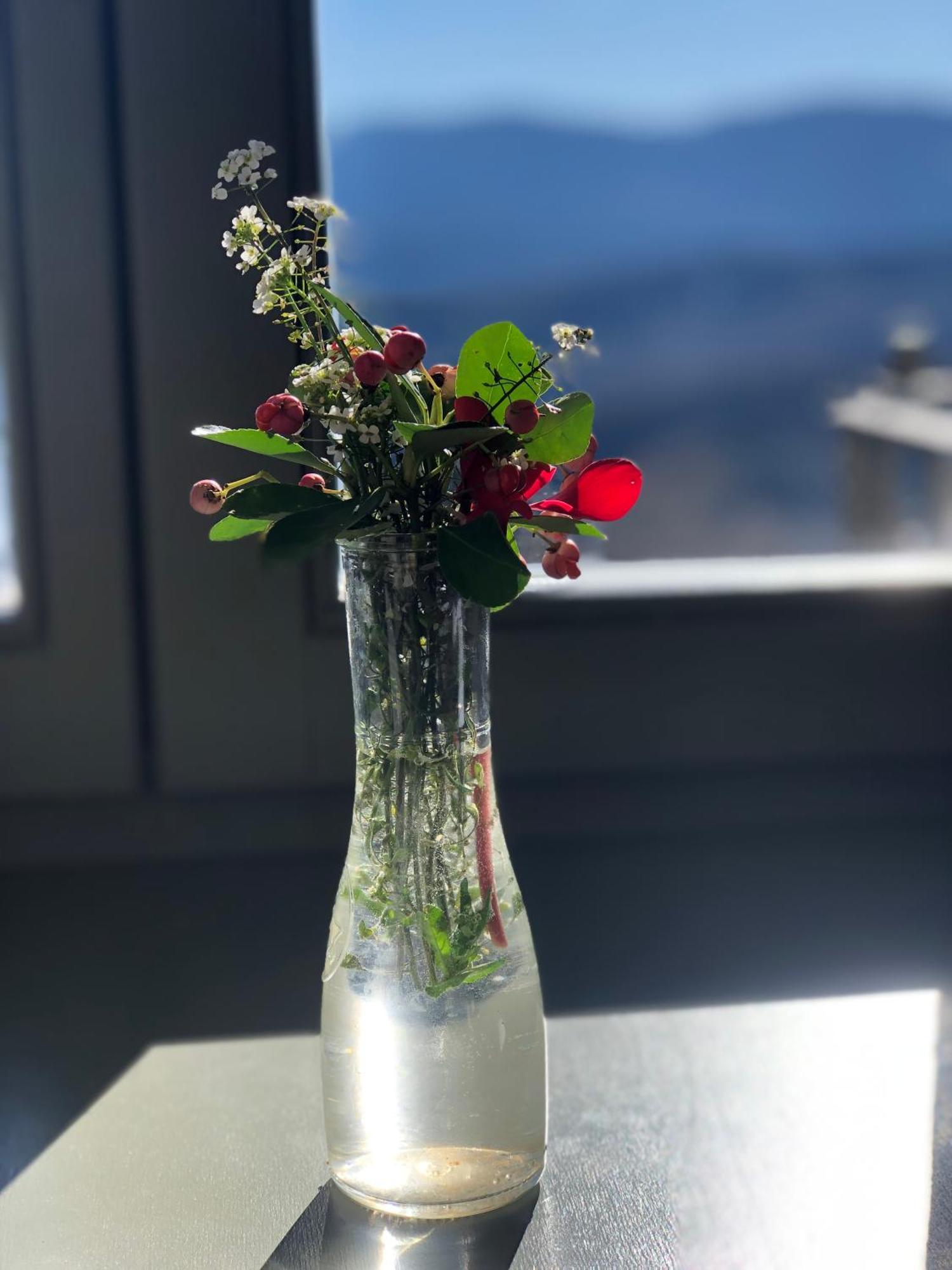 Katikia Zagori Hotel Vitsa Bagian luar foto