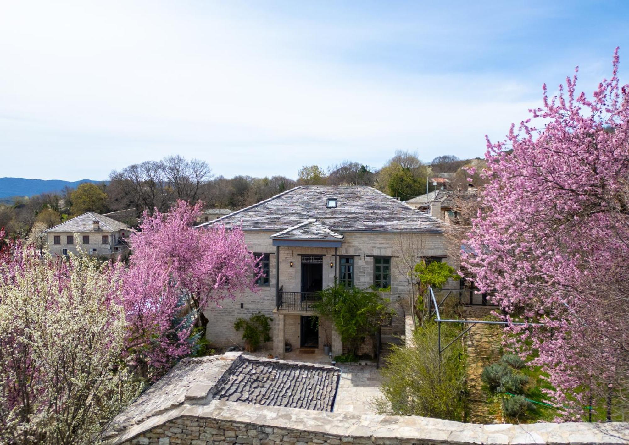 Katikia Zagori Hotel Vitsa Bagian luar foto