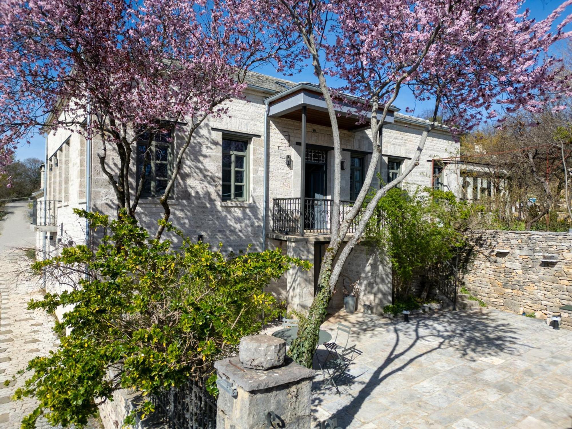 Katikia Zagori Hotel Vitsa Bagian luar foto